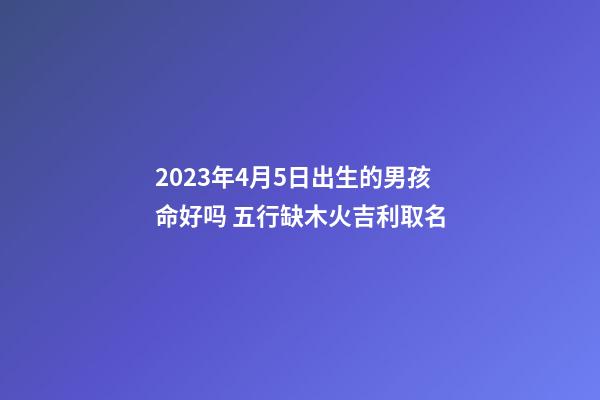 2023年4月5日出生的男孩命好吗 五行缺木火吉利取名